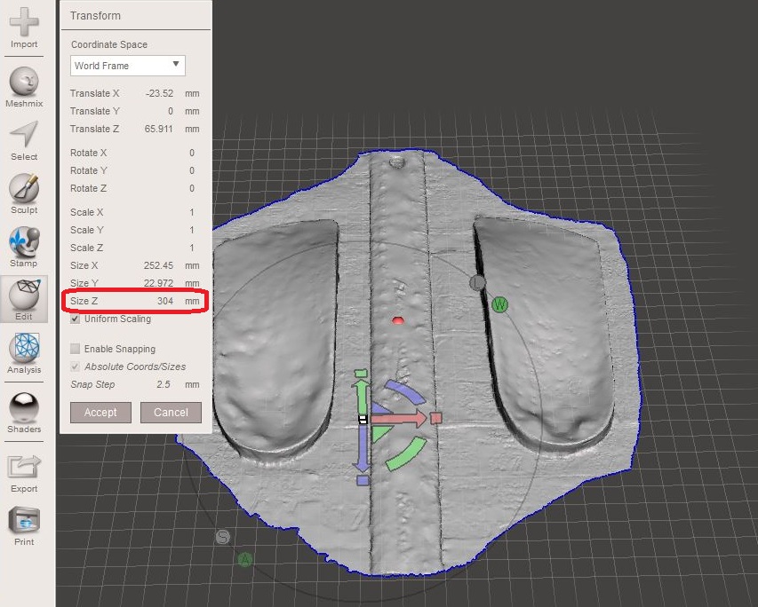 Enlarged orthotics annotated.jpg