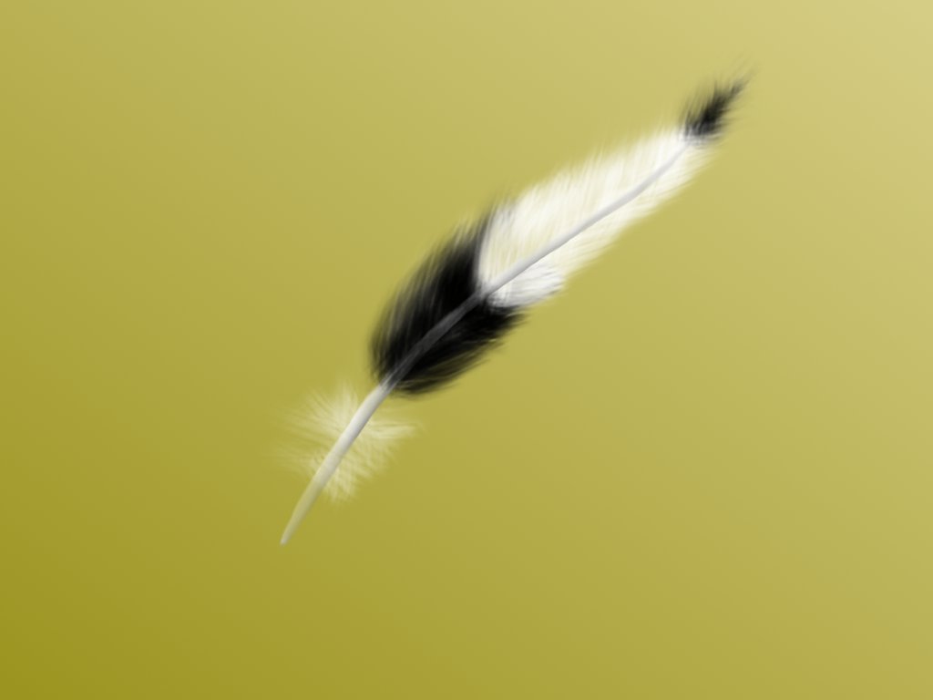 Environment1.jpg