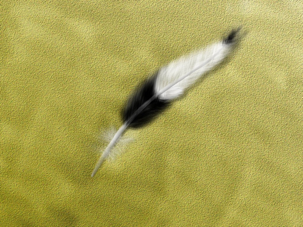 Environment5.jpg