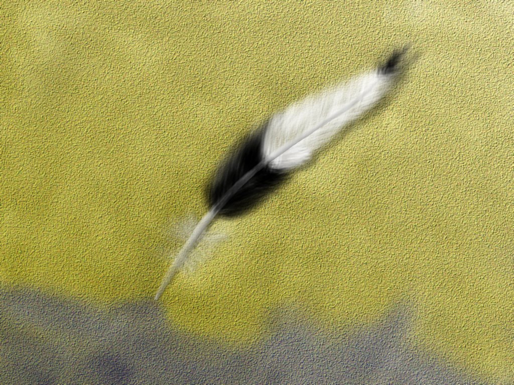 Environment6.jpg