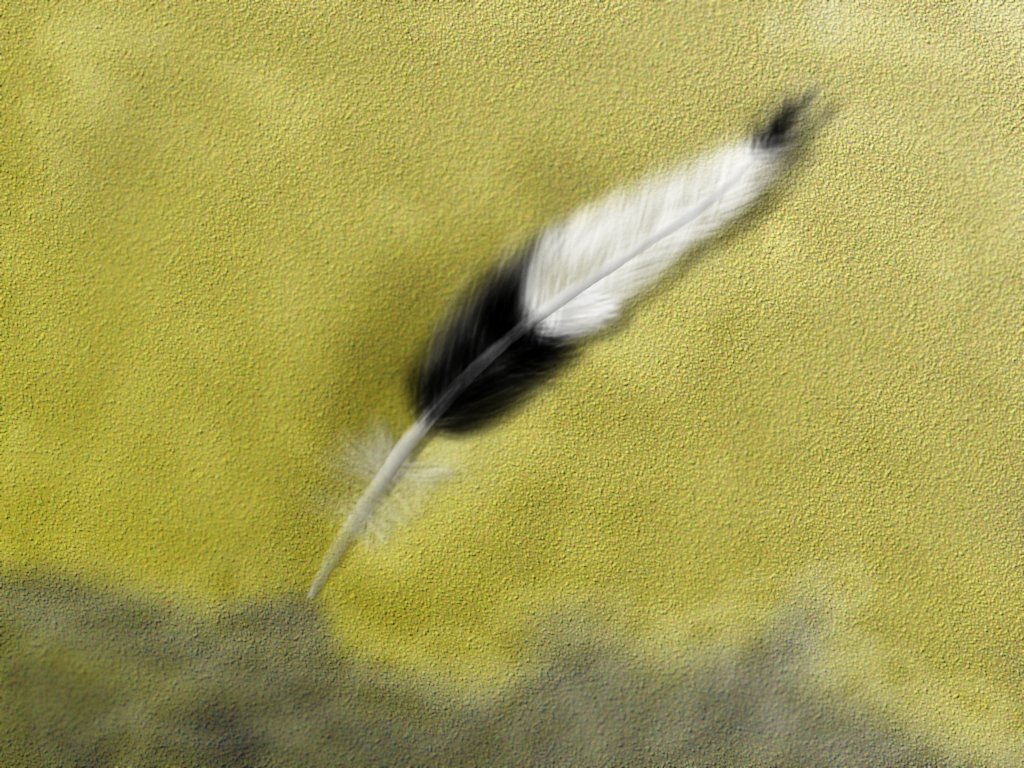 Environment9.jpg