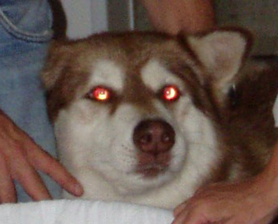 Eye-Soleil-Red-Eye.jpg