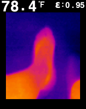 FLIR00003.bmp