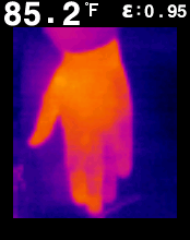 FLIR00007.bmp