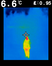 FLIR00016.bmp