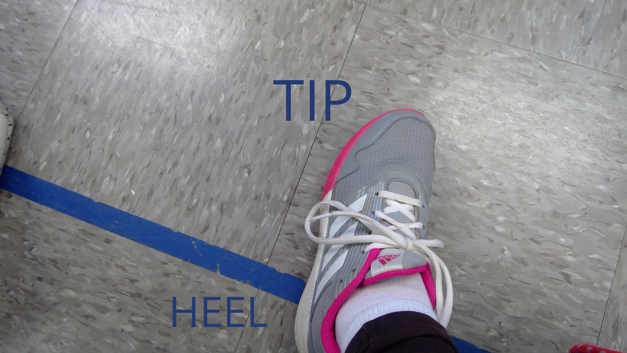 FOOT TIP HEEL.png