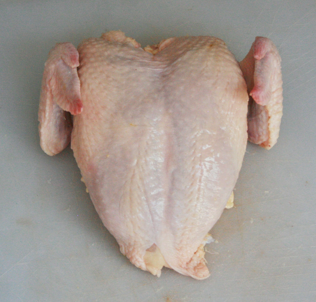 FVJSKIOGSUSNC16.LARGE.jpg