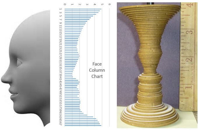 Face Vase (Summary).JPG