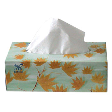 Facial_Tissue_Box2.jpg