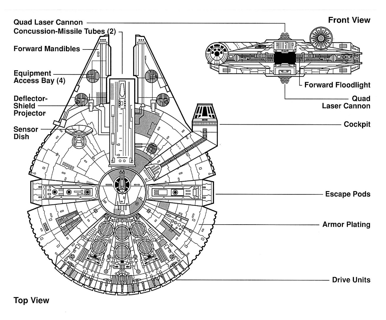 Falcon_egvv.jpg