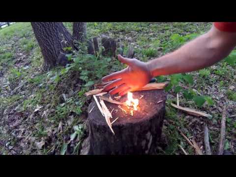 FatWood Nature's Fire Starter - How To Find, Harvest, and Use