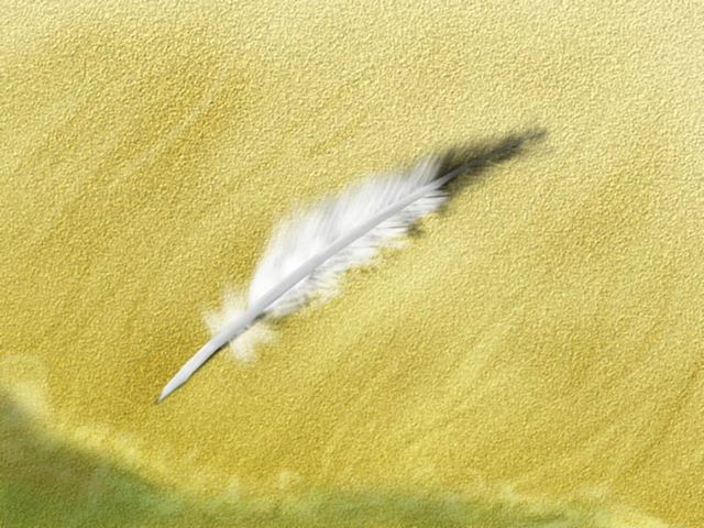Feather.jpg