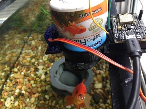 Feed Your Fish From Anywhere