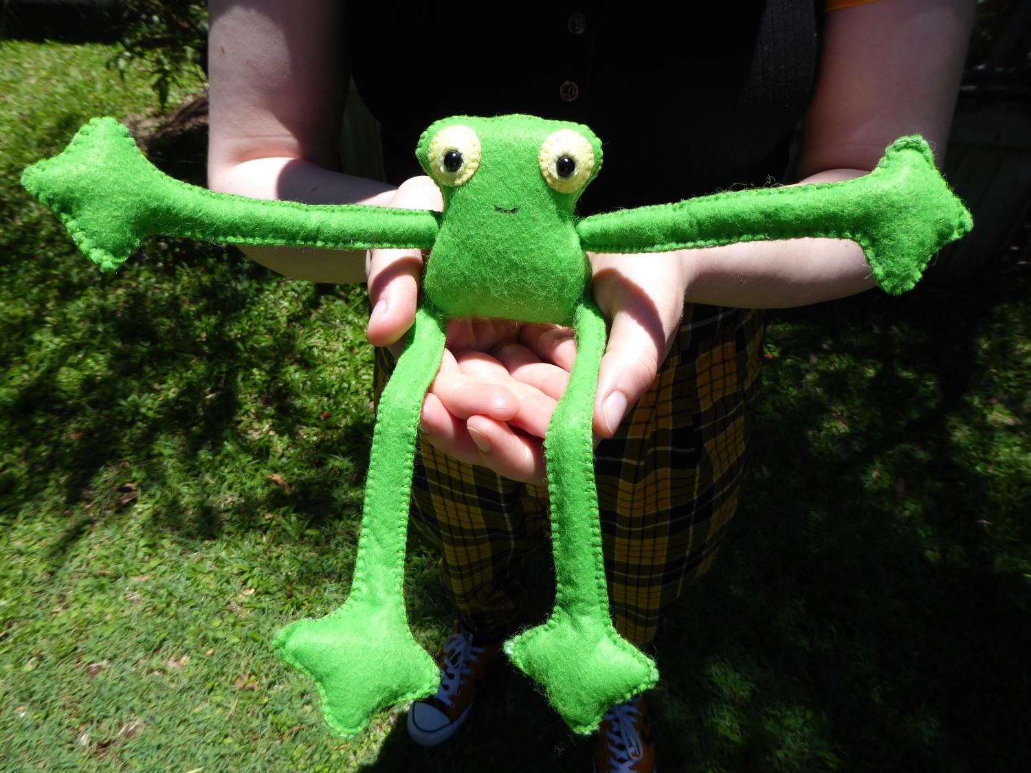 Felt frog pal complete 3.JPG