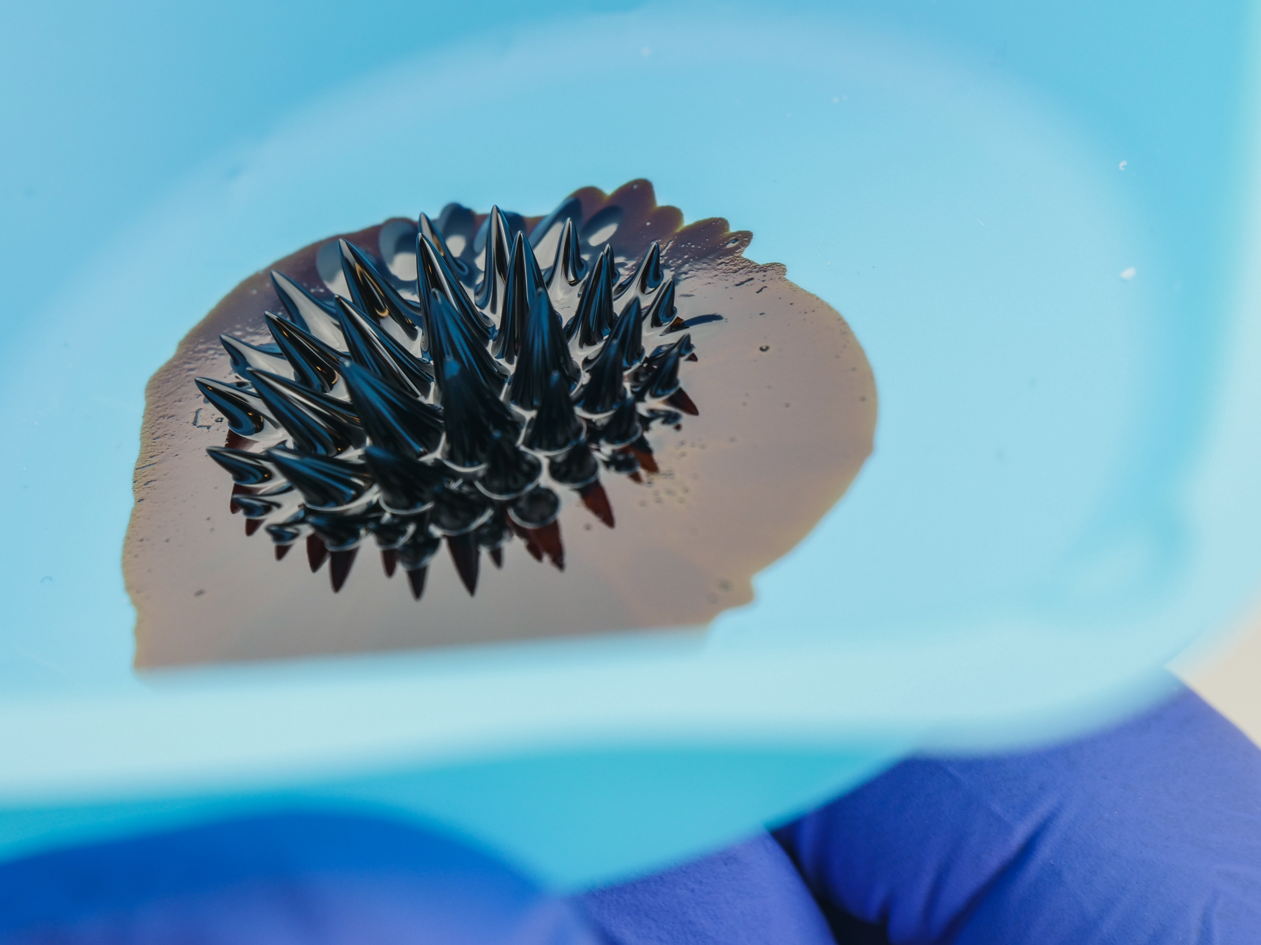 Ferro Fluid-6.jpg