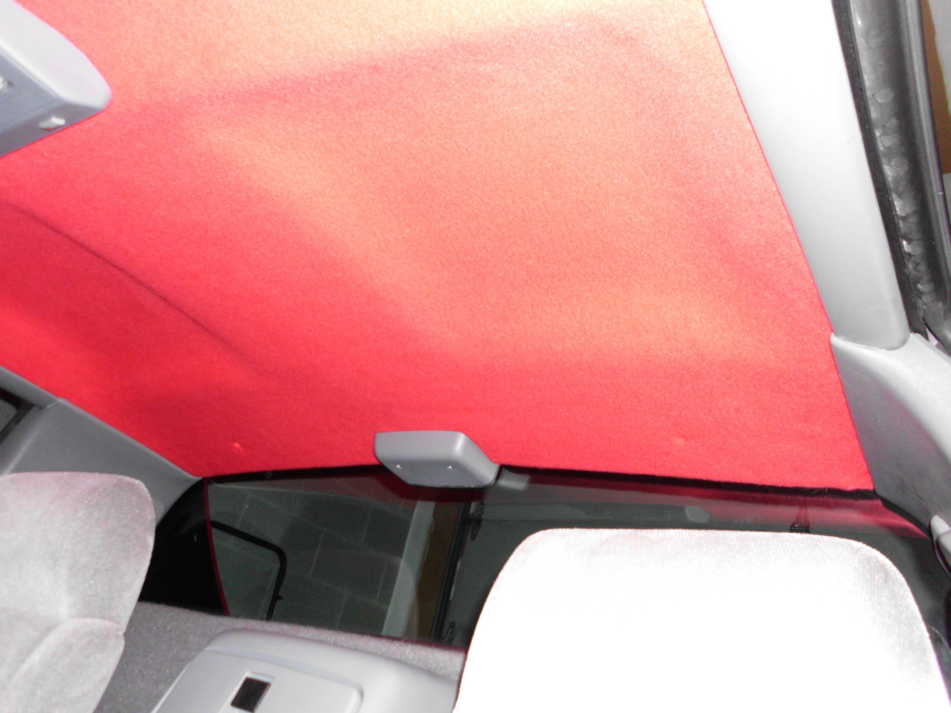 Fiero headliner 7.JPG