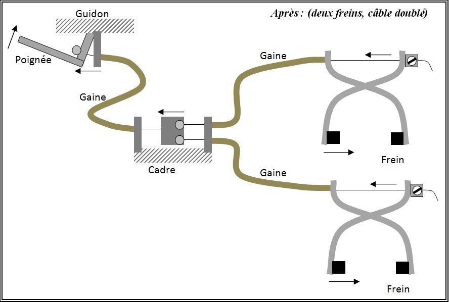 Fig2-Freins-Dopo.jpg