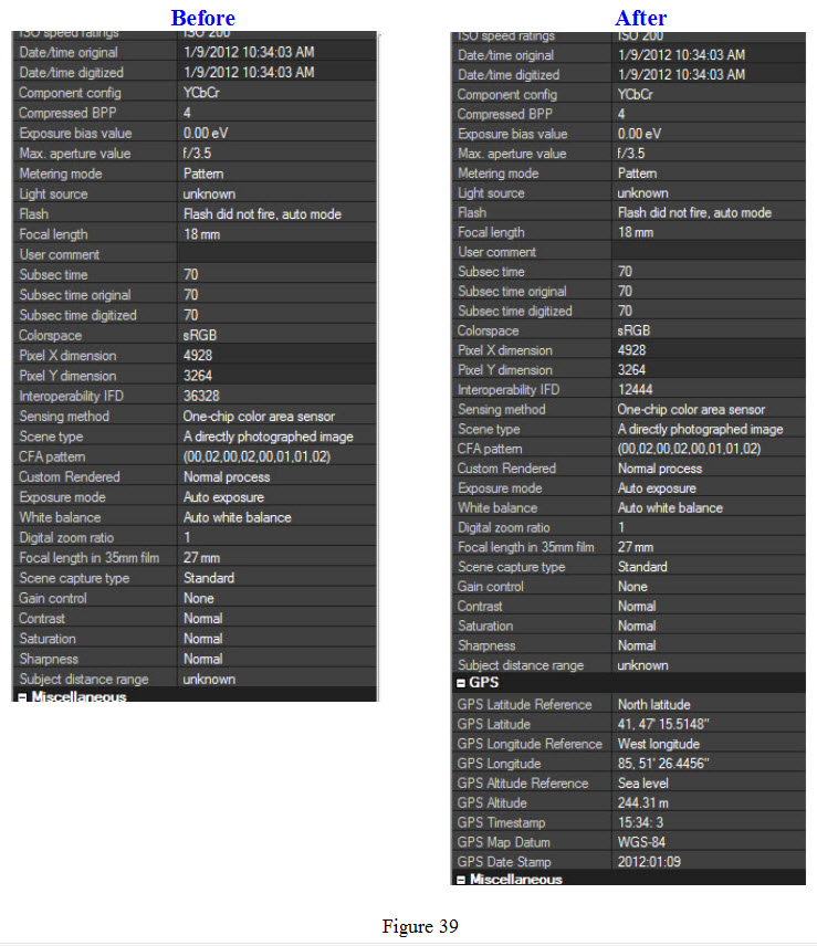 Figure 39.jpg