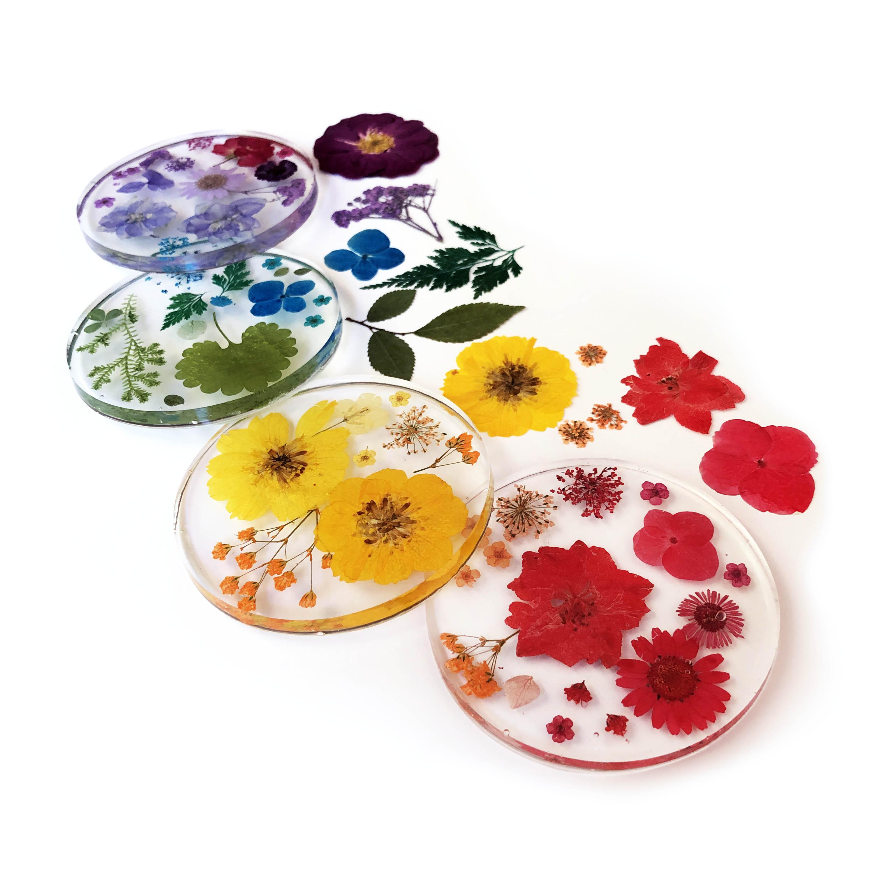 Fin Rainbow Coasters Flowers 01 SM 2620.jpg