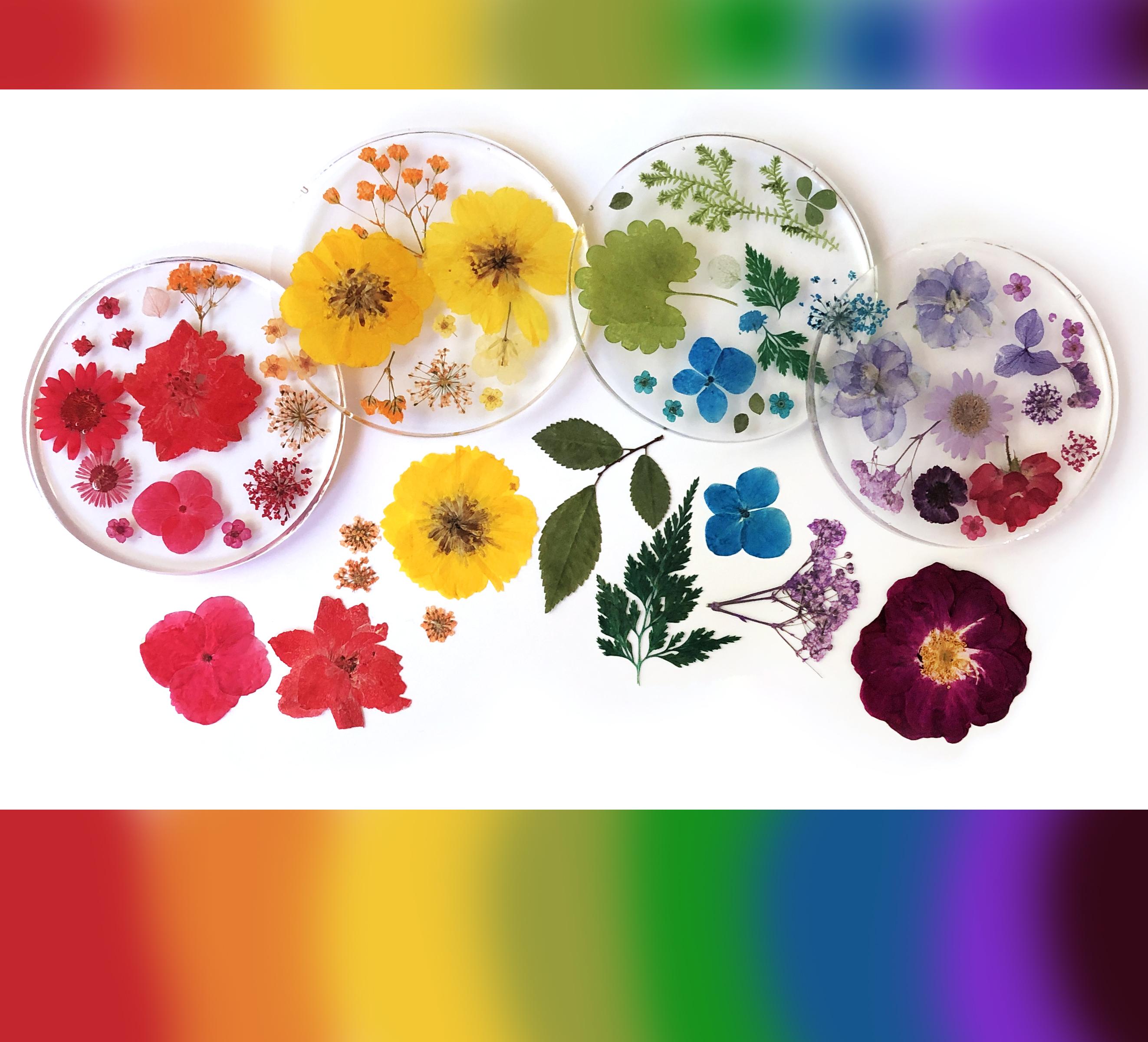 Fin Rainbow Coasters Flowers 04 SM 2621.jpg