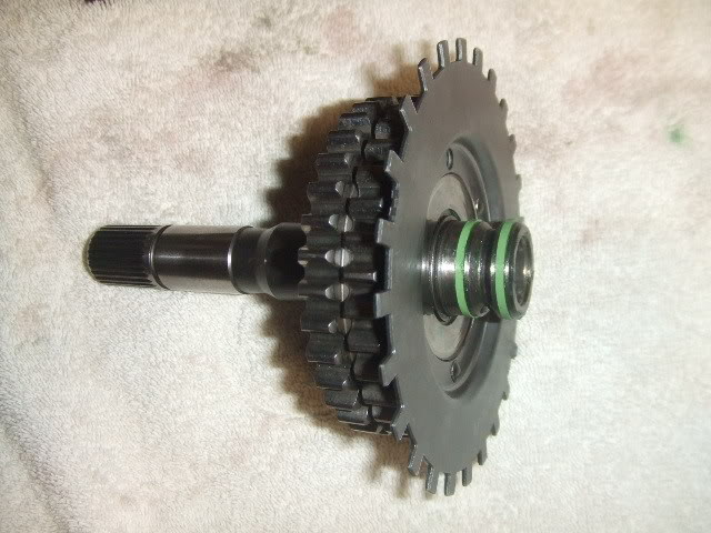 FinalReassy014.jpg