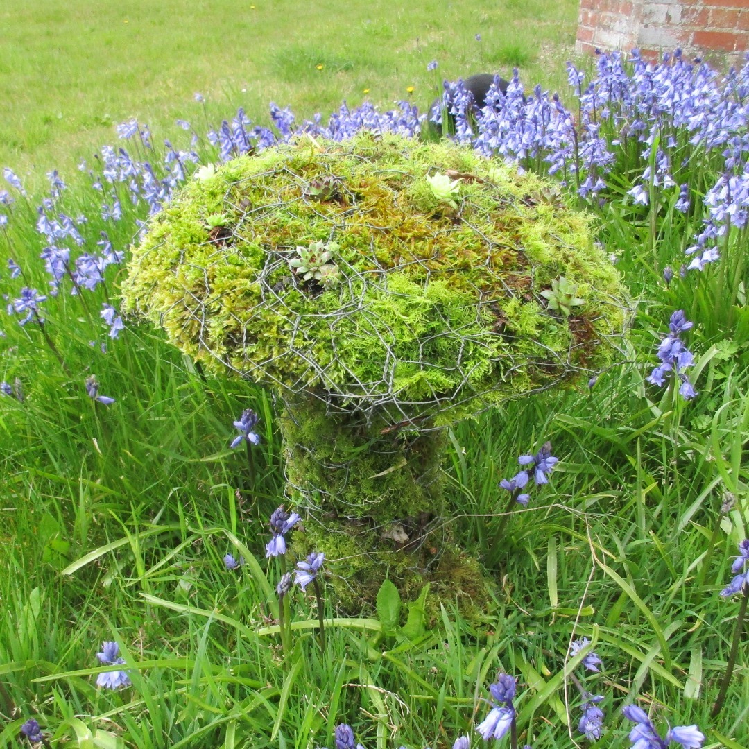 Finished Moss and succulent wire toadstool.jpg