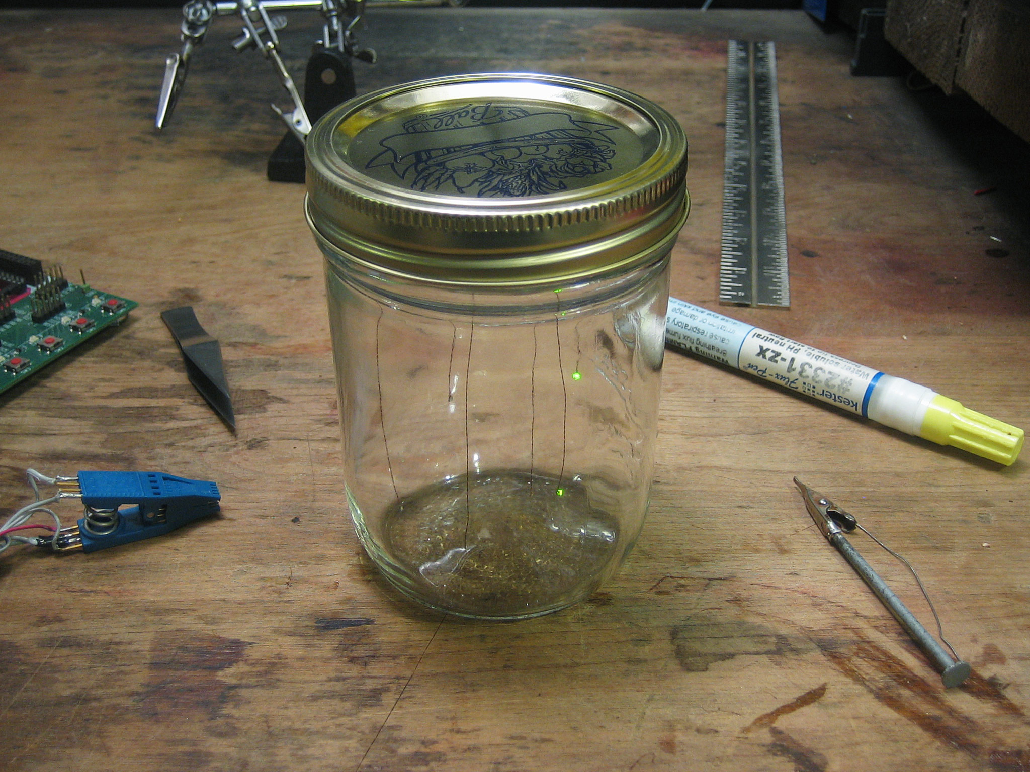 Firefly-in-a-jar.jpg