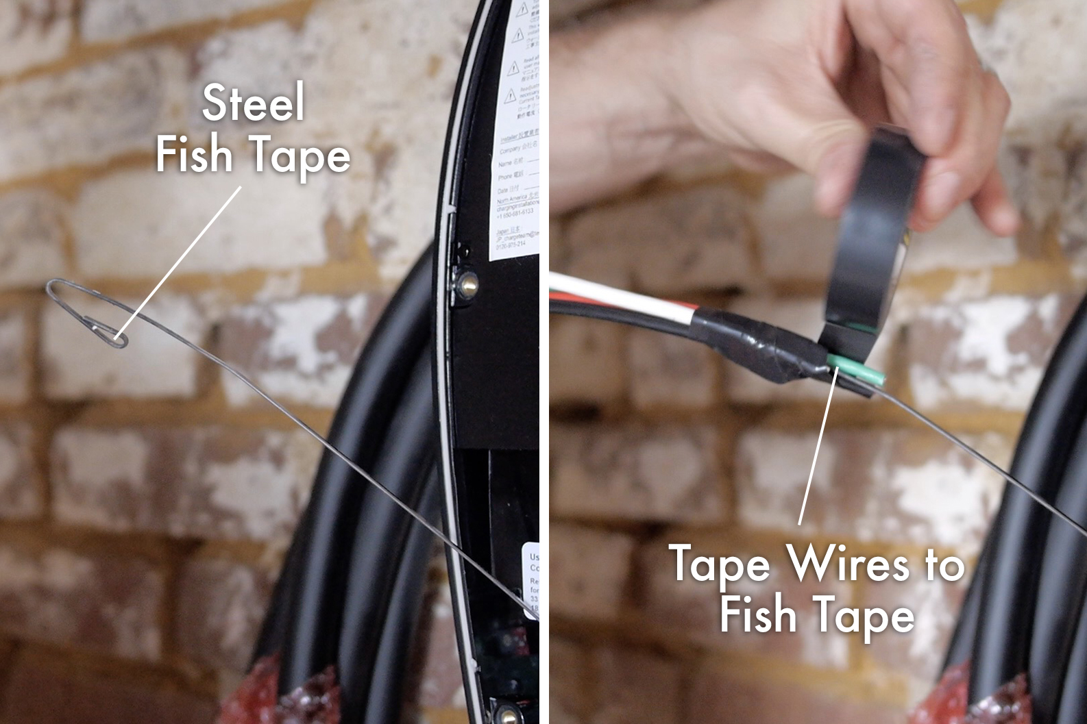 Fish Wires.jpg