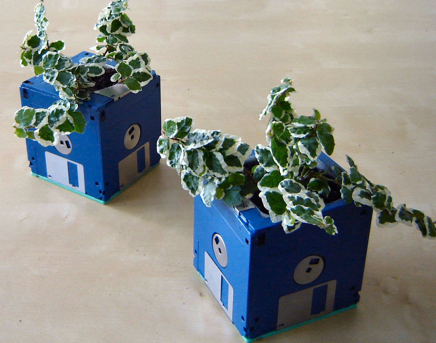 Floppy Disk Planters.jpg