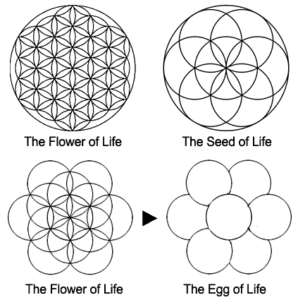 Flower of Life and Seed of Life.png