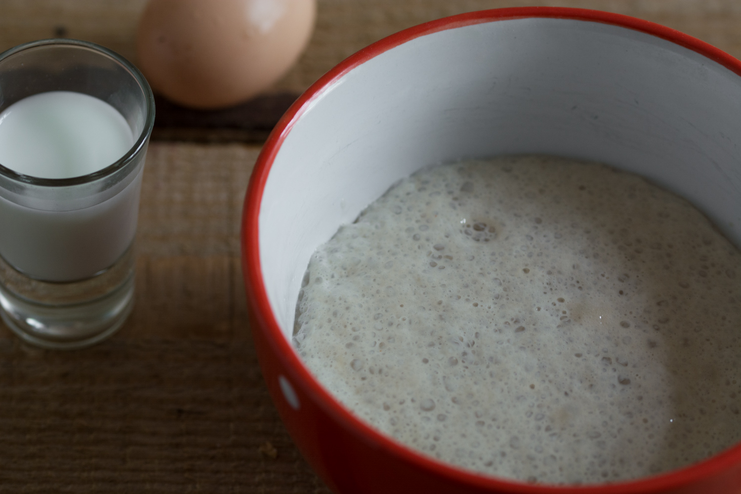 Foamy yeast mixture.jpg