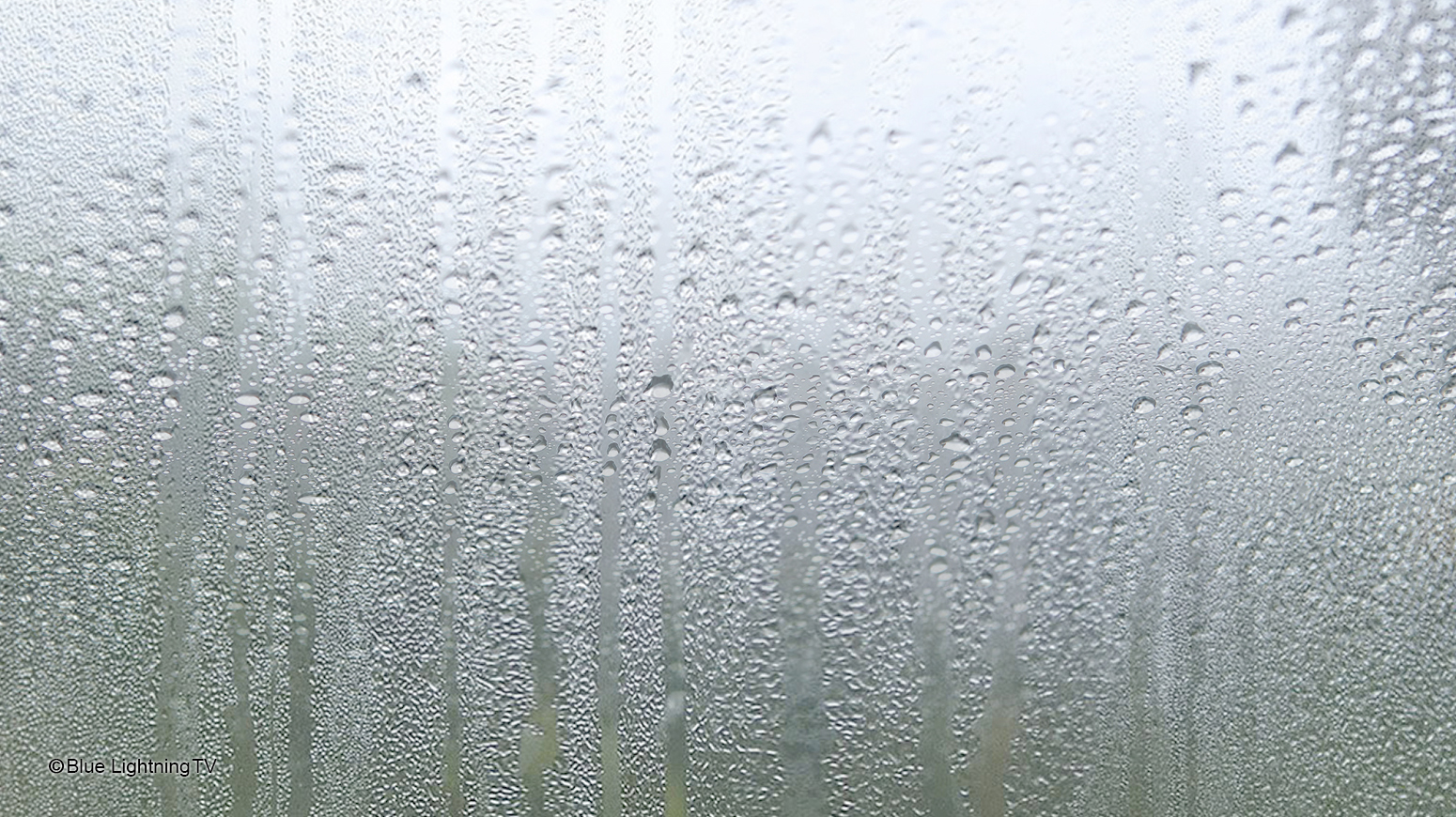 Foggy, rainy, window pane.jpg