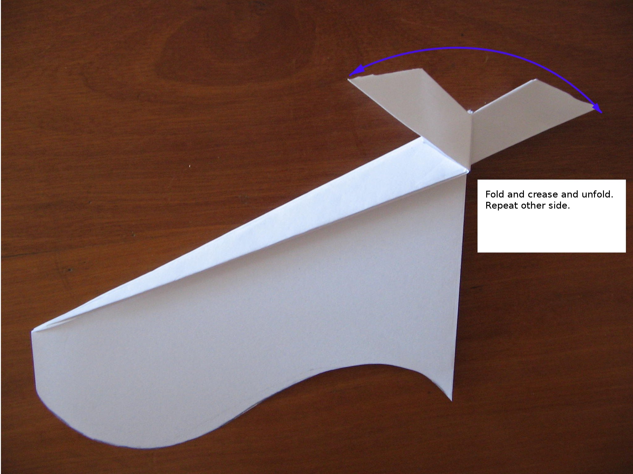 FoldCanard.JPG