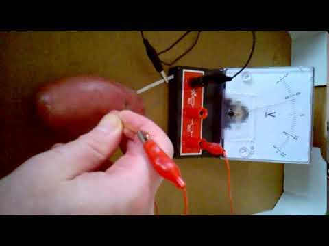 Food Battery - Red Potato