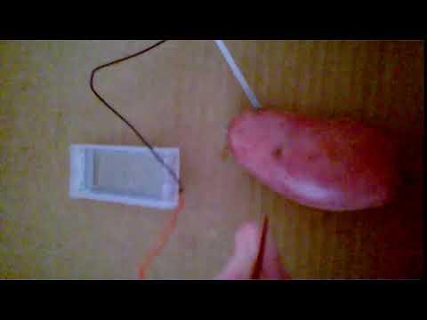 Food Clock - Red Potato