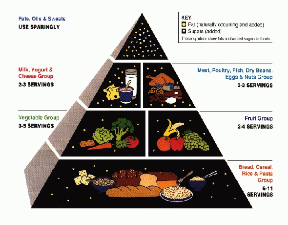 Food Pyramid.JPG