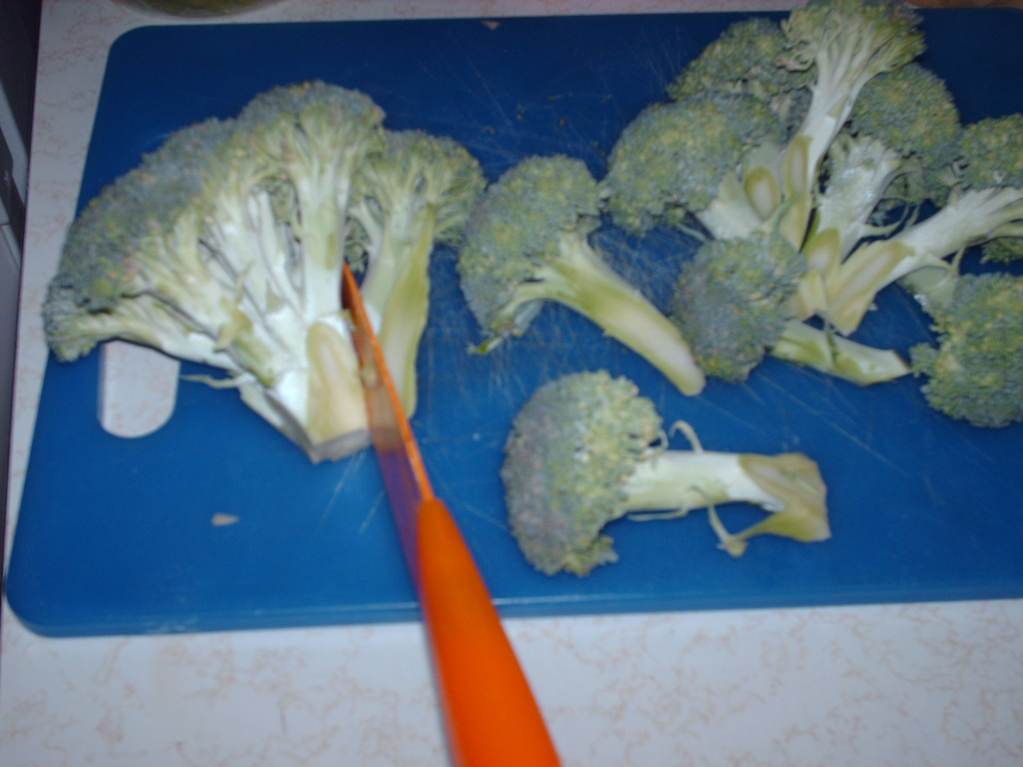 Foods 014.JPG