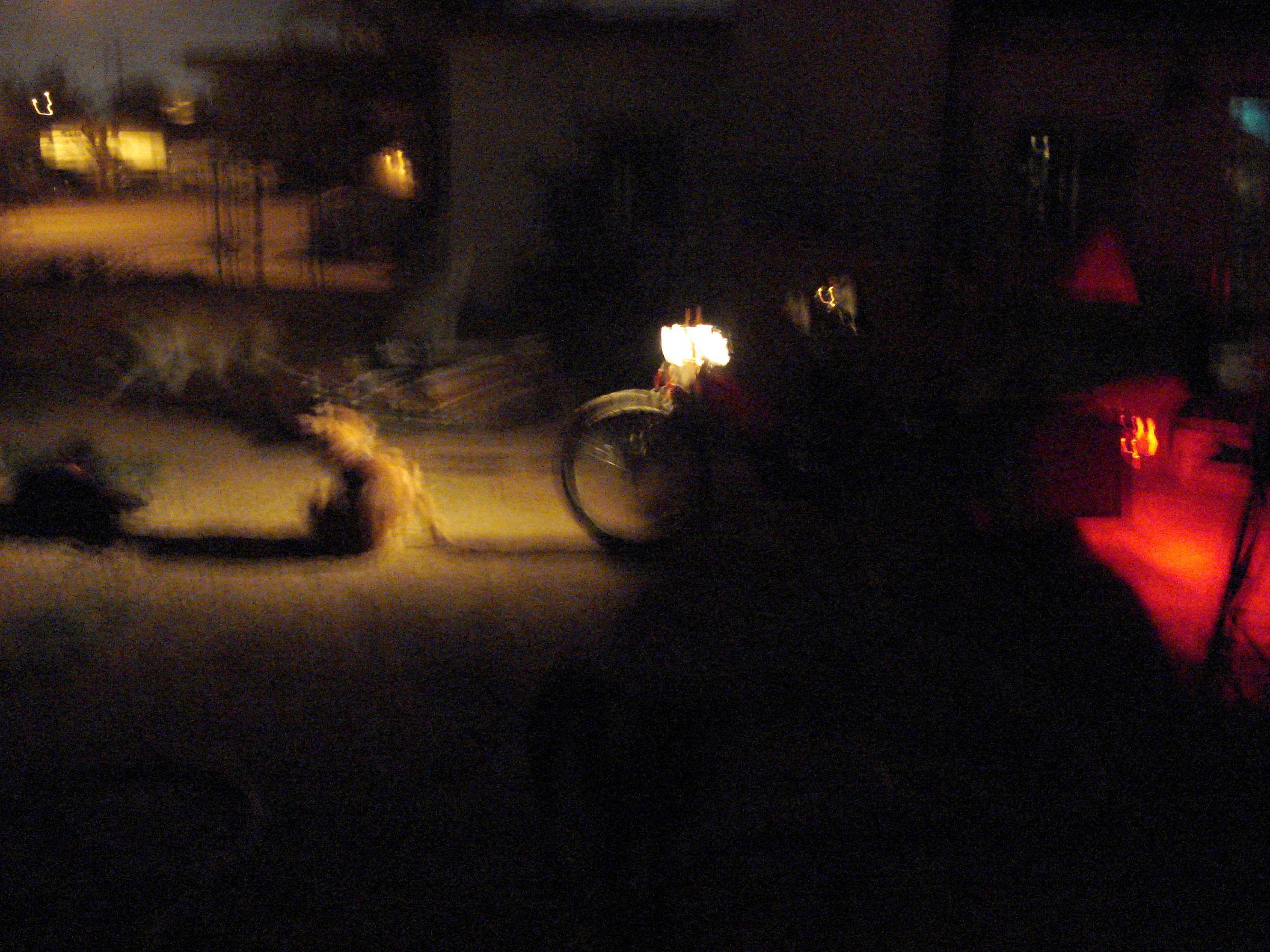 Full Bike Side View with Dogs 9 feet from Headlight ISO1000  DSC02031.JPG