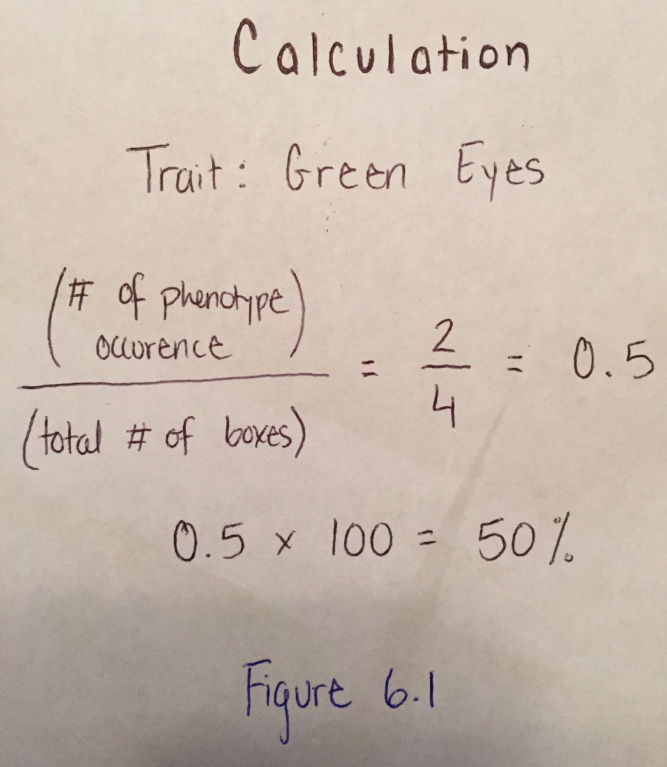 FullSizeRender[5][1].jpg