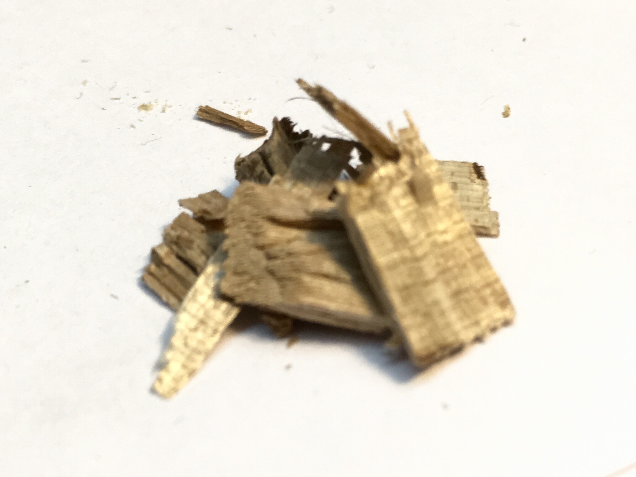FullSizeRender-2.jpg
