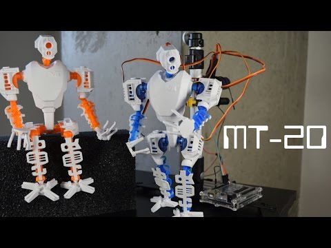 Functional 3D Printed Robot