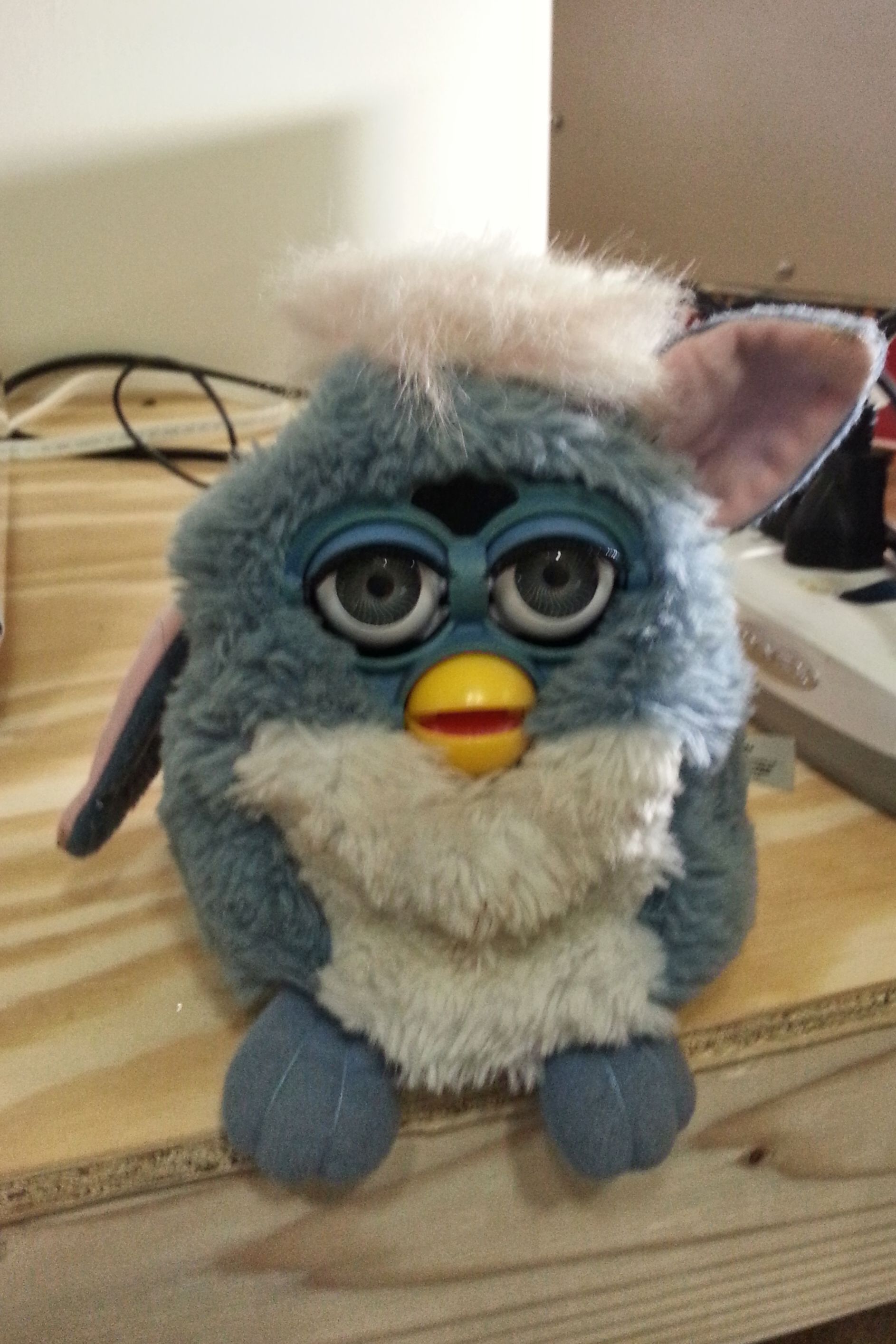 Furby20130614_191558.jpg