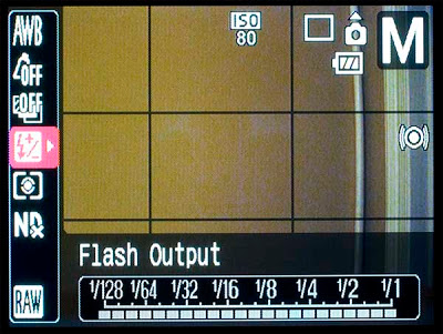 G9 Flash Display (non-Canon).jpg