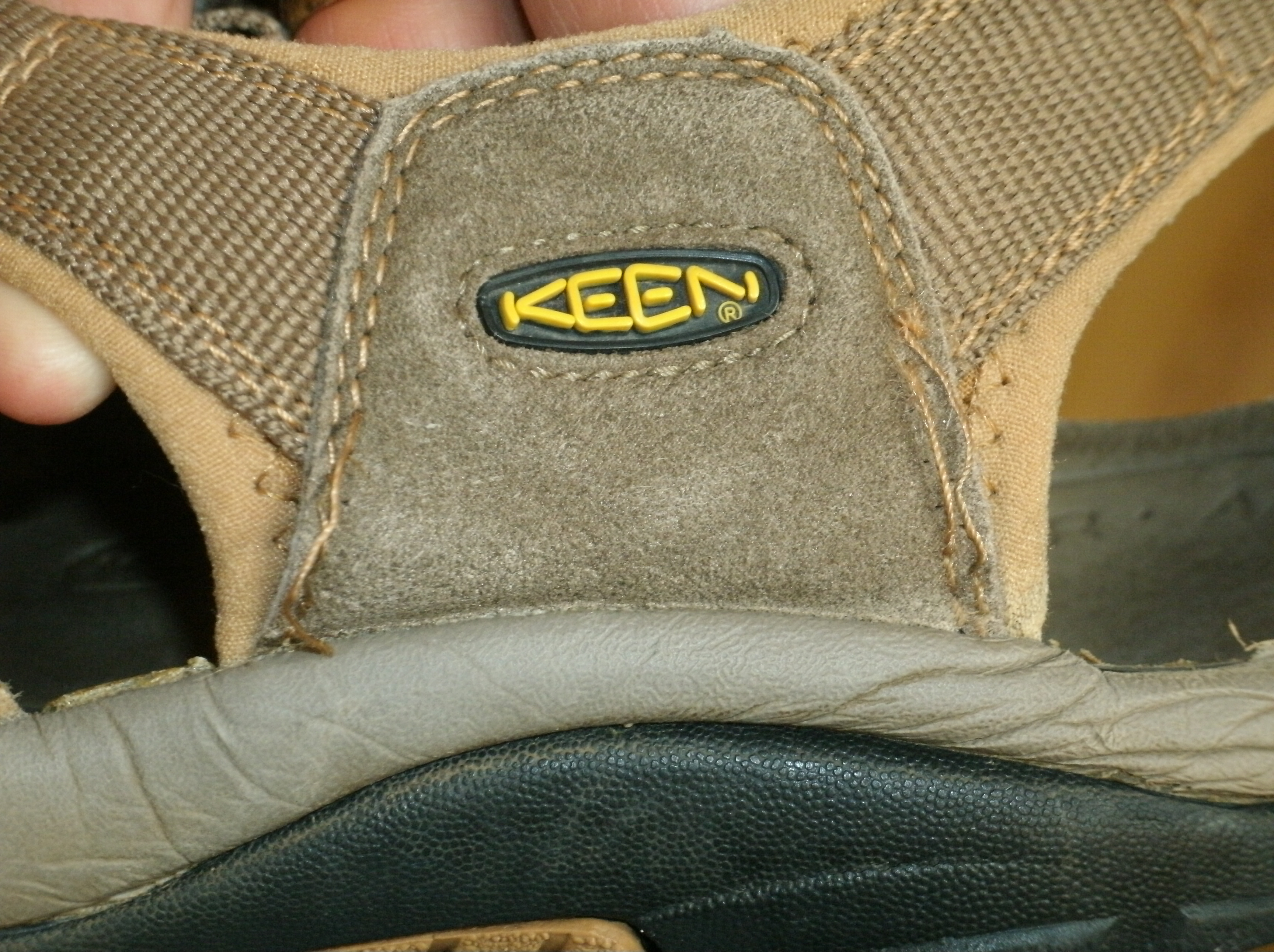 GEDC7250.JPG