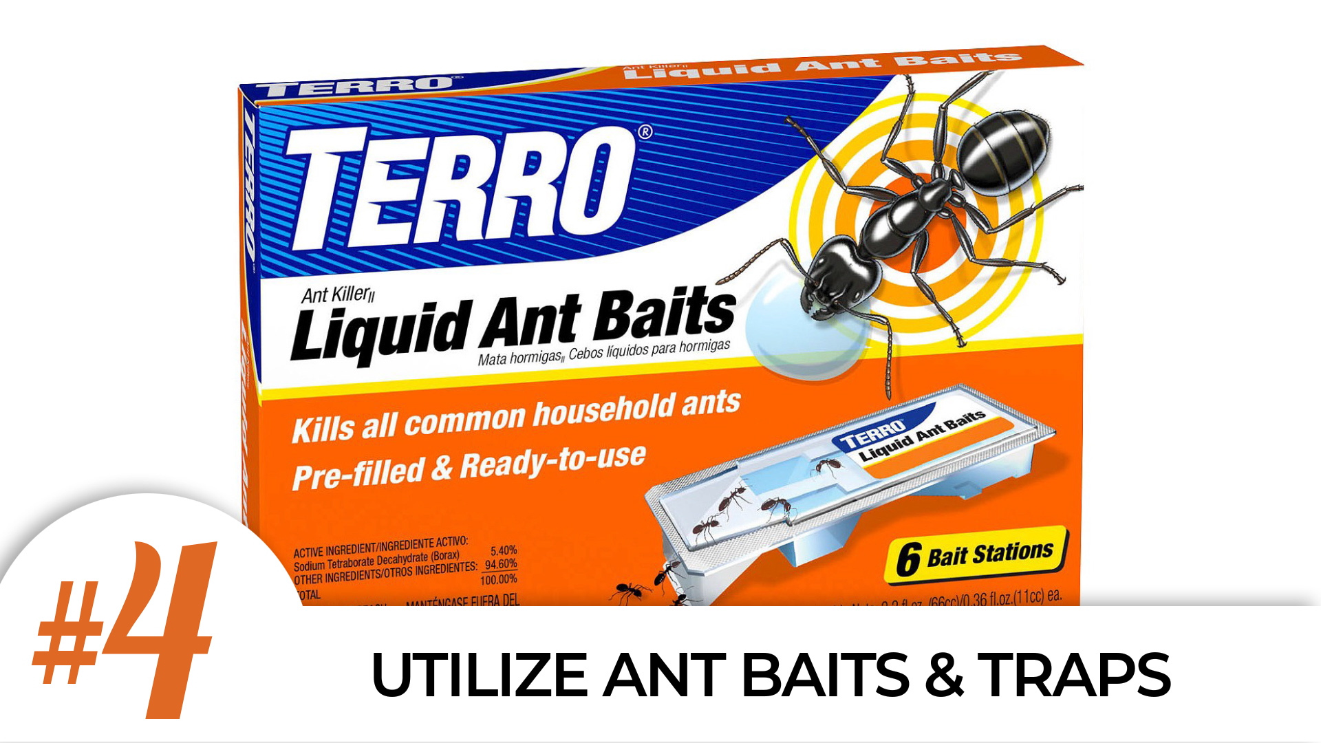 GETTING RID OF ANTS.00_01_30_09.Still007.jpg