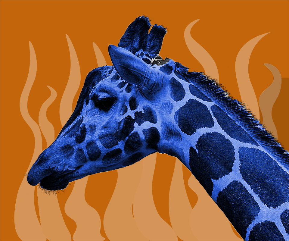 GIRRAFFE - Copy.png