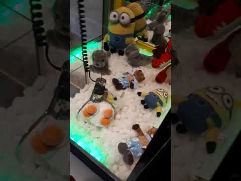 Gameplay Example 1 | Homemade Claw Machine