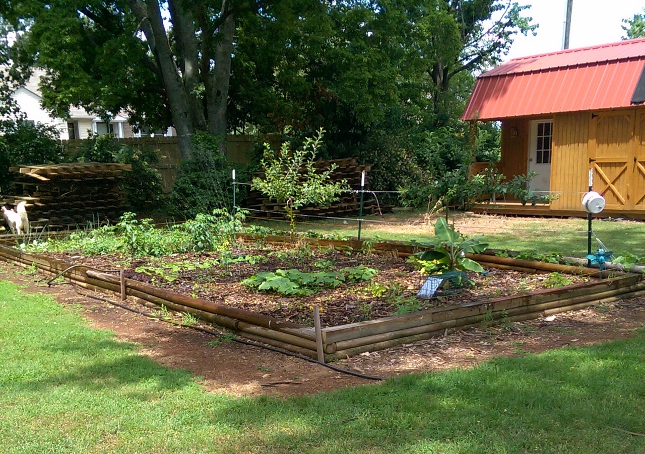 Garden 2.jpg