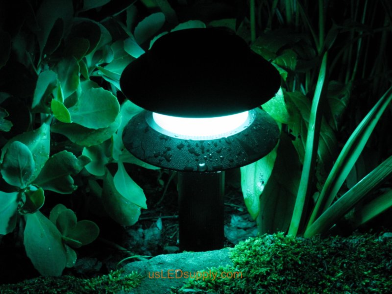 Garden Path Lights.JPG