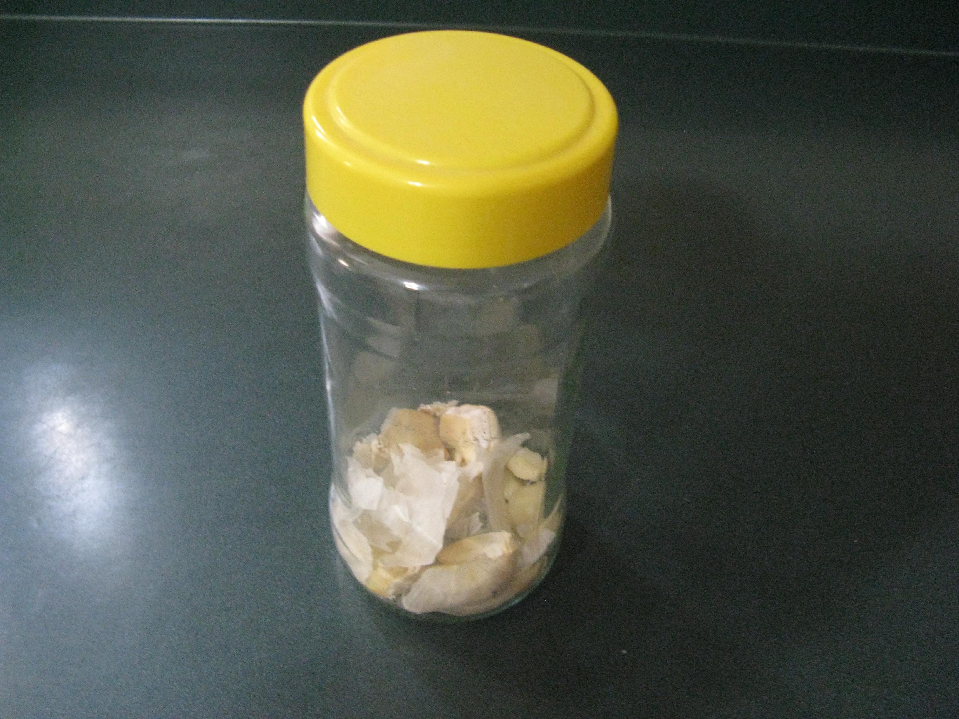 Garlic Confit 5.JPG